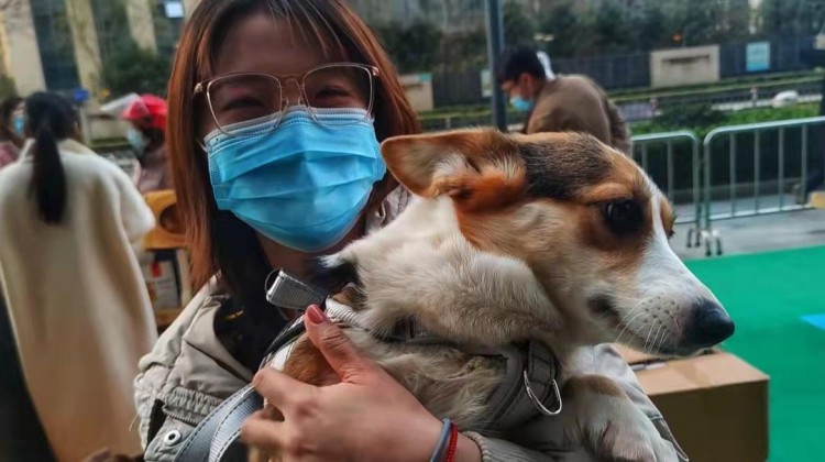 宠物专属游乐园在小区商场纷纷上线能否缓解人犬冲突文明养犬你有哪些金点子